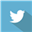 Twitter Icon
